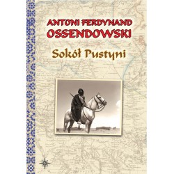 Sokół Pustyni