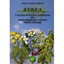 Zioła w leczeniu artretyzmu, reumatyzmu oraz innych dolegliwości i schorzeń układu ruchowego