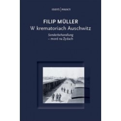 W krematoriach Auschwitz. Sonderbehandlung - mord na Żydach