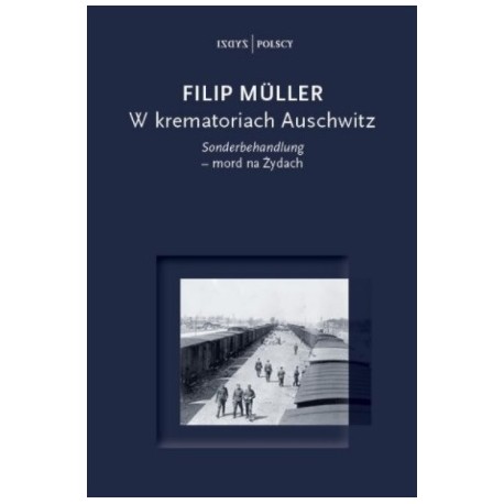 W krematoriach Auschwitz. Sonderbehandlung - mord na Żydach