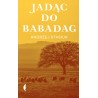 Jadąc do Babadag