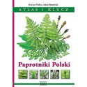 Paprotniki Polski Atlas i klucz