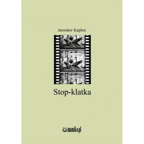 Stop-klatka