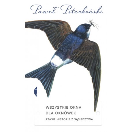 Wszystkie okna dla oknówek. Ptasie historie z sąsiedztwa