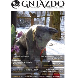 Gniazdo 1(19)/2019