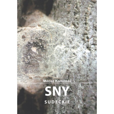 Sny sudeckie