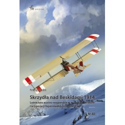 Skrzydła nad Beskidami 1914