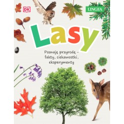 Lasy