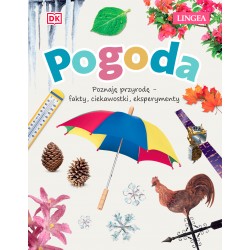 Pogoda