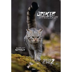 Kal 2022 Dzikie Bieszczady Żbik