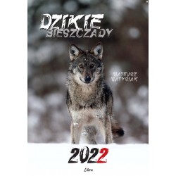 Kal 2022 Dzikie Bieszczady Wilk