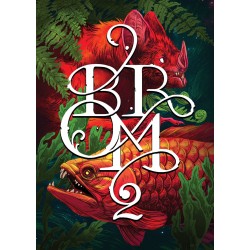 Brom 2