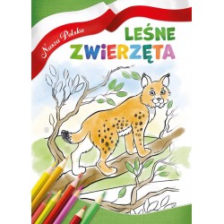 Leśne zwierzęta Nasza Polska