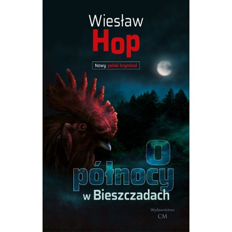 O północy w Bieszczadach