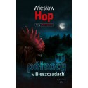 O północy w Bieszczadach