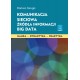 Komunikacja sieciowa Źródła informacji Big Data