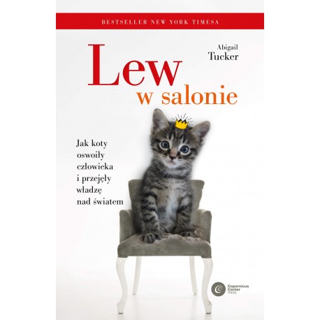 Lew w salonie