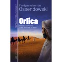 Orlica