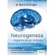Neurogeneza regeneracja mózgu