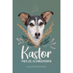 Kastor Pies ze schroniska Nowa Baśń motyleksiazkowe.pl