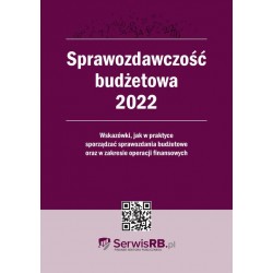 Sprawozdawczość budżetowa 2022 motyleksiazkowe.pl