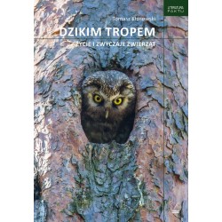 Dzikim tropem Życie i zwyczaje zwierząt Tomasz Kłosowski motyleksiazkowe.pl