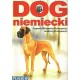 Dog niemiecki