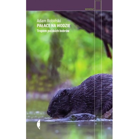 Pałace na wodzie Adam Robiński motyleksiazkowe.pl 