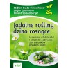 Jadalne rośliny dziko rosnące