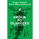 Królik po islandzku Grzegorz Kasdepke, Hubert Klimko-Dobrzaniecki motyleksiazkowe.pl