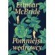 Pomniejsi wędrowcy Eimear McBride motyleksiazkowe.pl