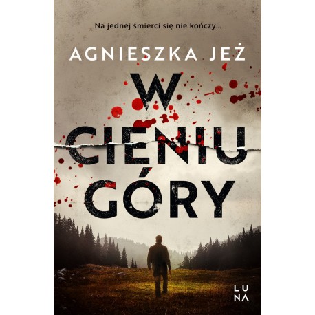 W cieniu góry Agnieszka Jeż motyleksiazkowe.pl