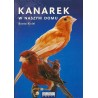 Kanarek w naszym domu