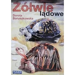 Żółwie lądowe Dorota Boruszkowska motyleksiazkowe.pl