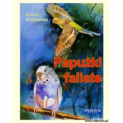Papużki faliste Kamila Brodowska motyleksiazkowe.pl