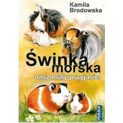 Świnka morska nasz mały przyjaciel Kamila Brodowska motyleksiazkowe.pl