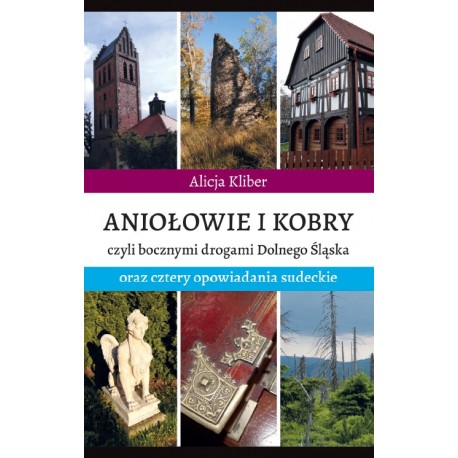 Aniołowie i kobry Alicja Kliber motyleksiazkowe.pl