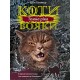 КОТИ-ВОЯКИ ЦИКЛ 3 КНИГА 2 ТЕМНА РІКА
