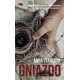 Gniazdo