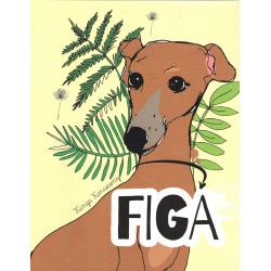 Figa