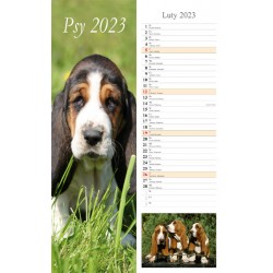 Kalendarz 2023 Paskowy Psy 13 plansz motyleksiazkowe.pl