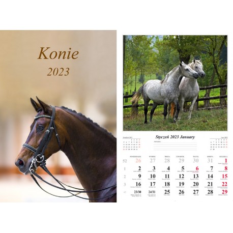 Kalendarz 2023 Konie dwustronny 7 plansz motyleksiazkowe.pl