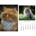 Kalendarz 2023 Koty dwustronny 7 plansz