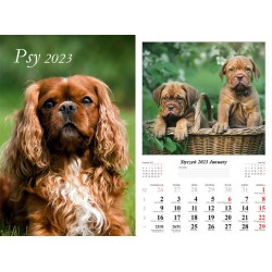 Kalendarz 2023 Psy 13 plansz motyleksiazkowe.pl