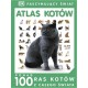 Atlas kotów motyleksiazkowe.pl