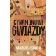Cynamonowe gwiazdy