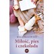 Miłość pies i czekolada