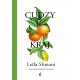 Cudzy kraj