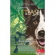 Зграя Книга 4 Перерваний шлях