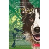 Зграя Книга 4 Перерваний шлях